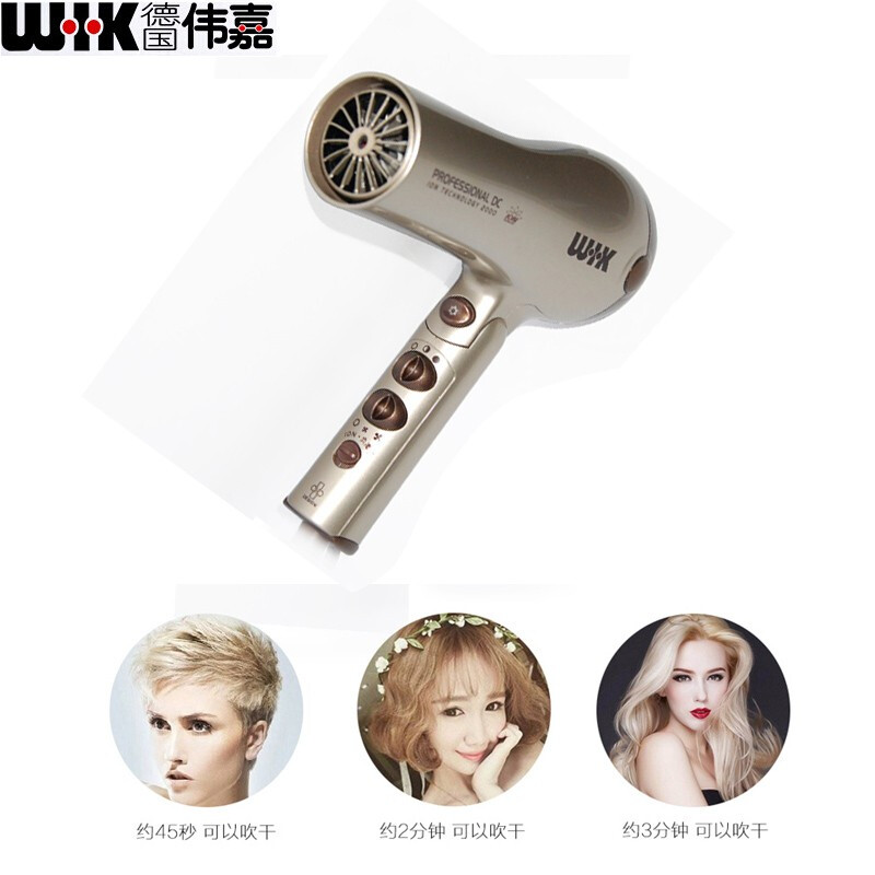 偉嘉（WIK） 德國電吹風(fēng)機(jī)家用 大功率 負(fù)離子折疊家庭酒店專用吹風(fēng)筒冷熱風(fēng) 5579FDCI香檳金/黑色